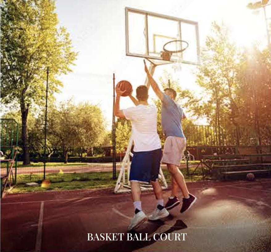 basketball